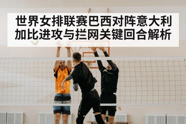 volleyball net block